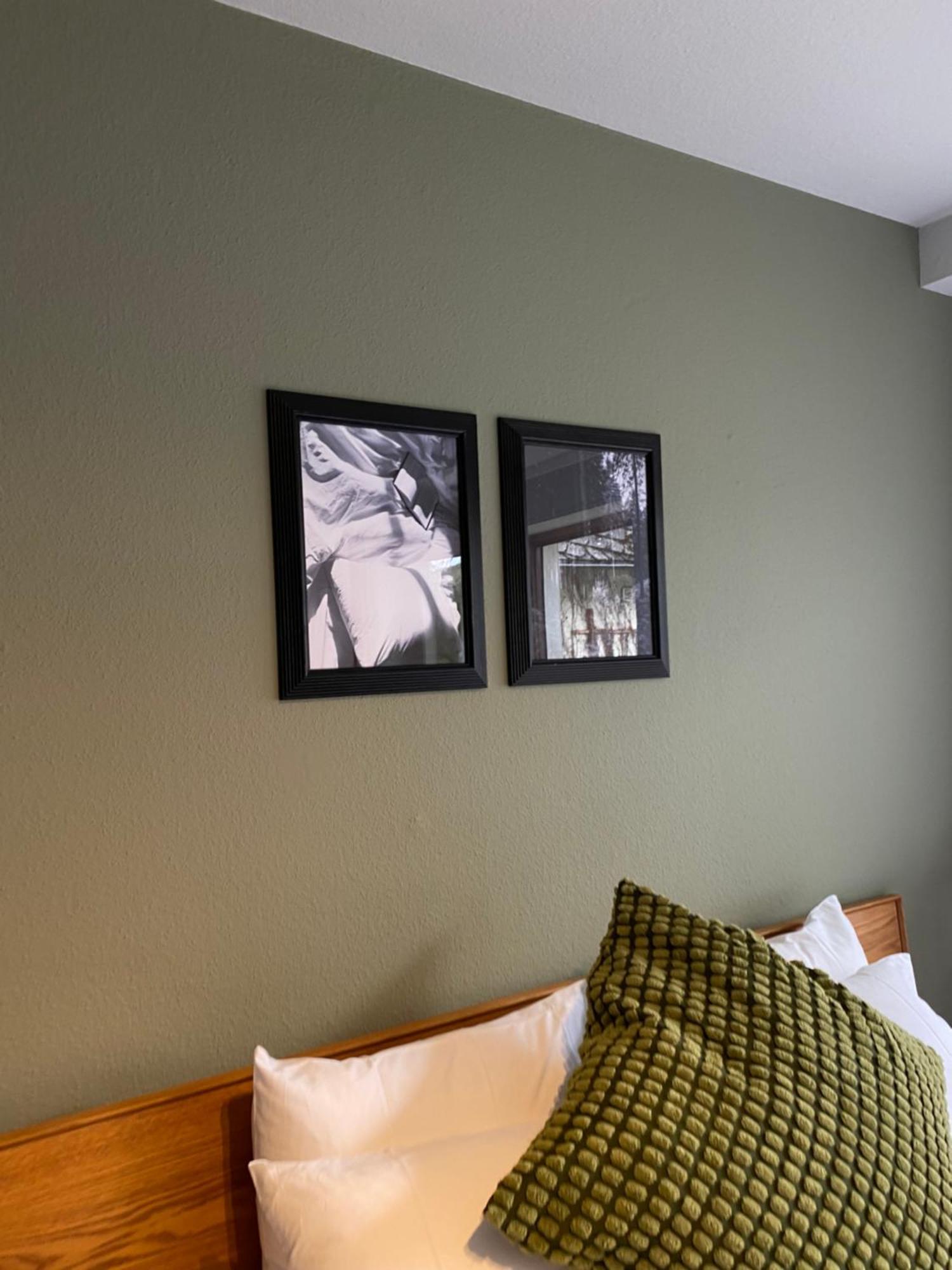 Black Forest Apartments Titisee エクステリア 写真