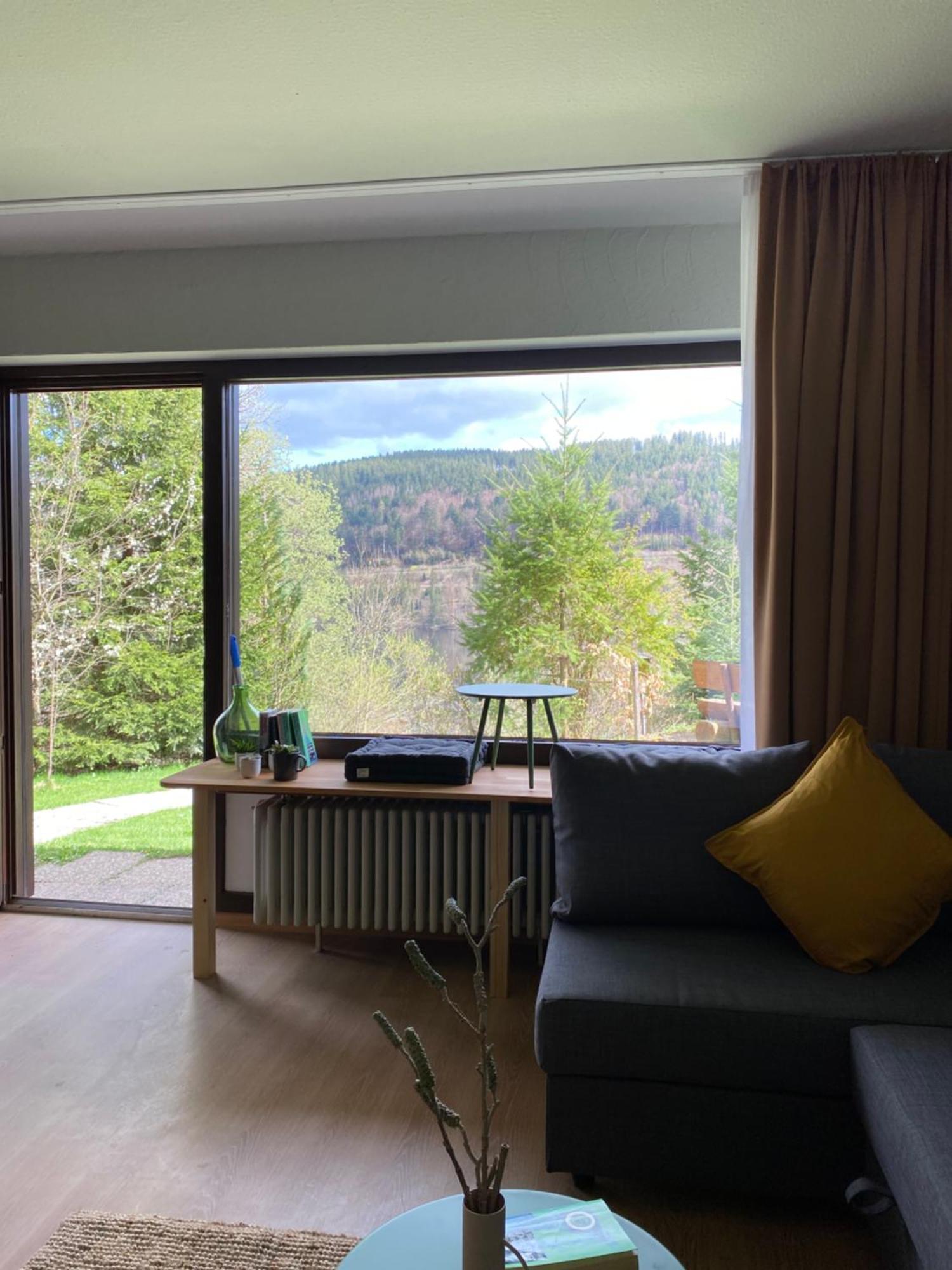 Black Forest Apartments Titisee エクステリア 写真